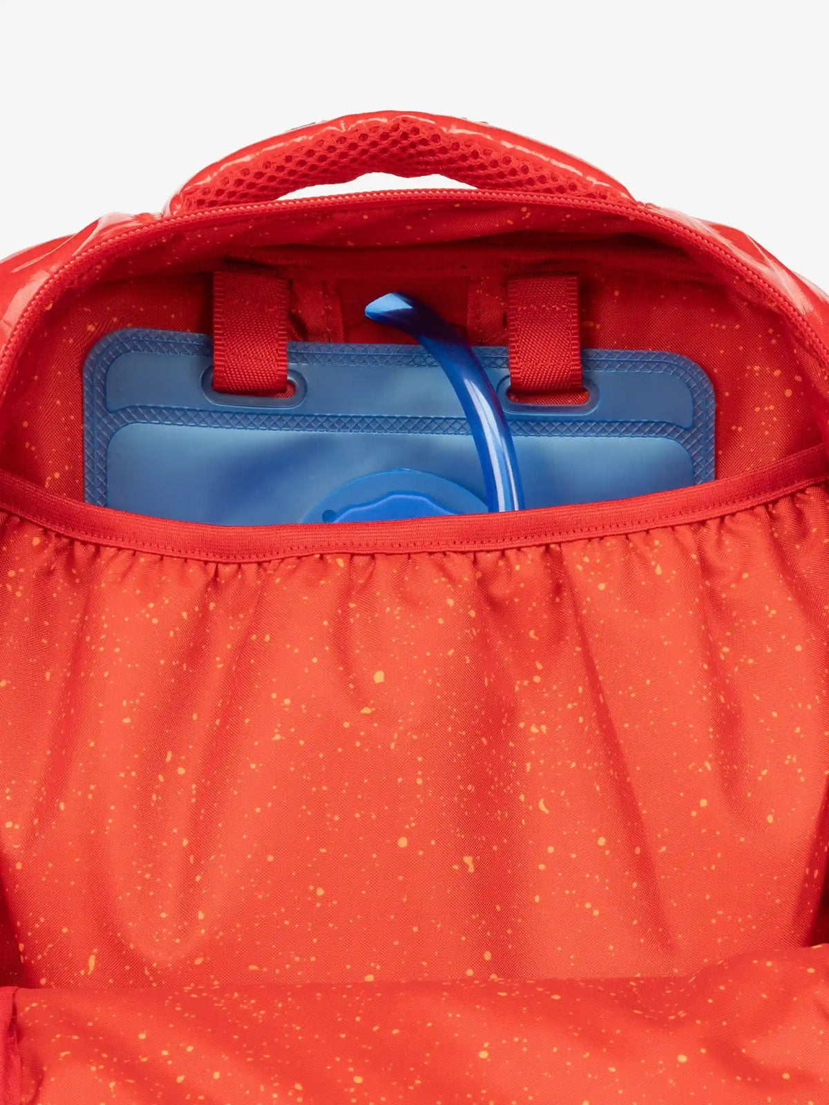 Terra Laptop Backpack