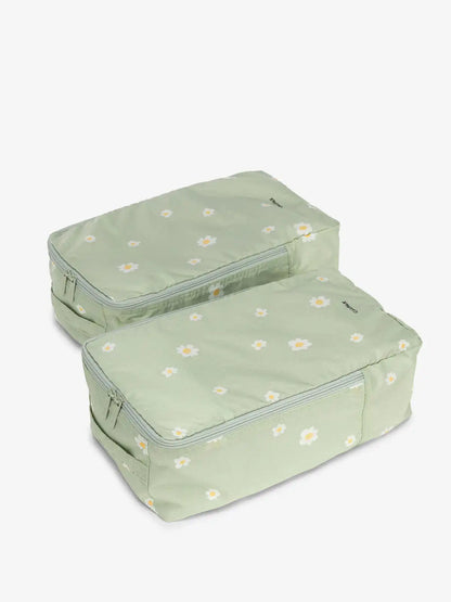 Shoe Cubes - Set of 2